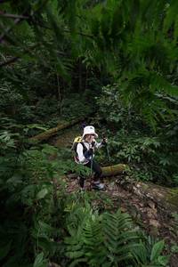 BIB: 
                            <button type="button" onclick="openModal(16030116)" class="btn btn-primary btn-sm float-right btn-popup" data-toggle="modal" data-target=".modal-high-quality">
                        <i class="fas fa-shopping-cart"></i> Add to Cart
                    </button>
                                            <button type="button" onclick="isThisMe(16030116, true)" class="btn btn-success btn-sm float-right btn-popup btn-isme hidden" data-toggle="tooltip" data-placement="bottom" title="นี่คือรูปของคุณใช่ไหม คลิกที่นี่เพื่อเอาเข้าอัลบั้ม">
                        <i class="fas fa-plus"></i> Add to album
                    </button>
                    <button type="button" onclick="isThisMe(16030116, false)" class="btn btn-warning btn-sm float-right btn-popup btn-isnotme hidden">
                        <i class="fas fa-ban"></i> Remove from album
                    </button>